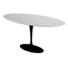 Mesa de Jantar Saarinen Oval 1,20x0,80m - Pedra Tatu Bola Móveis Nano Glass Preto Fosco - 5