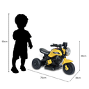 Ver imagem 5 de Combo 2 Mini Motos Elétricas Triciclo Infantil Zyppy 6v com Som e Música