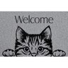 Capacho de Vinil Pet Cat Welcome 0,40X0,60M - Kapazi - 1