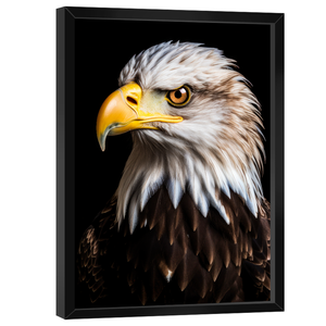 Quadro Decorativo Águia Americana
