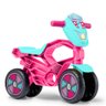 Totokross Moto de Equilíbrio Rosa Cardoso - 1
