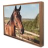 Quadro Decorativo Cavalo de Perfil  em Moldura Caixa TaColado Moldura Trad 1cm Preta com Vidro 20 x  - 4