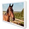 Quadro Decorativo Cavalo de Perfil  em Moldura Caixa TaColado Moldura Trad 1cm Preta com Vidro 20 x  - 2