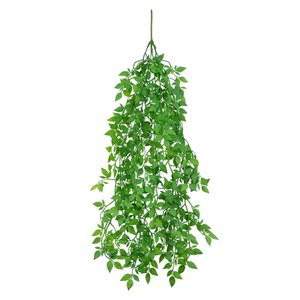 Planta Pendente Maia Azaide