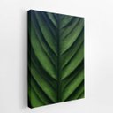 Ver imagem 2 de Folha Planta Natureza Verde Fotografia Quadro Canvas 60x40cm