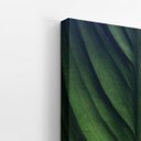 Ver imagem 3 de Folha Planta Natureza Verde Fotografia Quadro Canvas 60x40cm