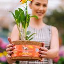 Ver imagem 3 de Vaso Redondo Nutricoco N01 (8,5x12cm) Nutriplan