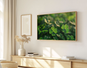 Ver imagem 1 de Quadro Decorativo N°142 115x70cm - Panorâmico Botânico - Trevos em Contraluz - Rollflex