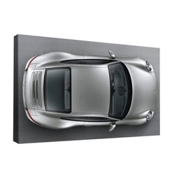 Quadro Porsche 911 Carrera Br Artes - 1