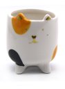 Ver imagem 1 de Caneca de Gatinho Ornamento de Porcelana Enfeite 9cm
