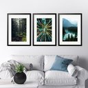 Ver imagem 1 de Kit 3 Quadros Grandes Florestas - 60x48cm:moldura Preta