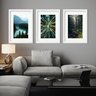 Kit 3 Quadros Grandes Florestas - 60x48cm:moldura Preta - 2