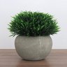 Vaso Decorativo com Planta Permanente Mini Arbusto Rústico - 1