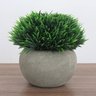 Vaso Decorativo com Planta Permanente Mini Arbusto Rústico - 3