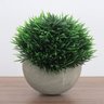 Vaso Decorativo com Planta Permanente Mini Arbusto Rústico - 2