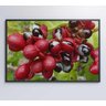 Quadro Guaraná Selvagem com Frutas Amazônia Decor&Quadros NAT123 120x80 cm Tecido Canvas - 2