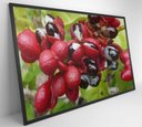 Ver imagem 3 de Quadro Guaraná Selvagem com Frutas Amazônia Decor&quadros Nat123 120x80 Cm Tecido Canvas