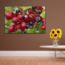 Quadro Guaraná Selvagem com Frutas Amazônia Decor&Quadros NAT123 120x80 cm Tecido Canvas - 1