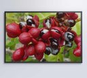 Ver imagem 2 de Quadro Guaraná Selvagem com Frutas Amazônia Decor&quadros Nat123 120x80 Cm Tecido Canvas