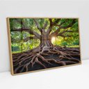 Ver imagem 3 de Quadro Decorativo Árvore Raízes Sala Quarto Casa Escritório