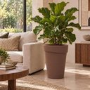 Ver imagem 2 de Vaso Plástico Alto 70cm para Plantas Folhagens Tramontina Gi