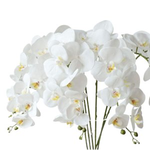Galho de Orquideas Artificiais para Mesa Sala e Arranjos