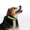Coleira LED 3 Funções Verde Tam. M Mimo - PP341 PP341 - 4
