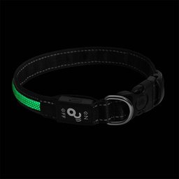 Coleira LED 3 Funções Verde Tam. M Mimo - PP341 PP341 - 2