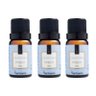 Kit 3 Essencias Lavanderia 10ml Via Aroma - 1