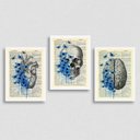 Ver imagem 1 de kit 3 Quadros Psicologia Cérebro Coração 33x24cm - com vidro:Madeira preta