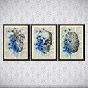 Ver imagem 2 de kit 3 Quadros Psicologia Cérebro Coração 33x24cm - com vidro:Madeira preta