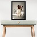 Ver imagem 1 de Quadro para Banheiro Border Collie 24x18cm:moldura Branca