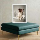Ver imagem 2 de Quadro para Banheiro Border Collie 24x18cm:moldura Branca