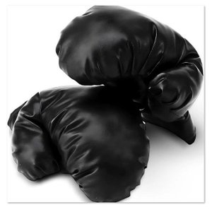 Luvas de Boxe Equipamento de Proteção para Treinamento