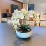 Arranjo Grande Centro de Mesa 4 Orquídeas Brancas 3d Vaso Branco - 3