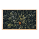 Ver imagem 2 de Quadro Decorativo N°148 70x40cm - Panorâmico Paisagem Floresta Aérea Árvore Terracota - Rollflex