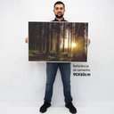 Ver imagem 2 de Quadro Decorativo Caixa Alta com Vidro as Árvores e o Nascer do Sol TaColado Moldura Preta 90 x 60c