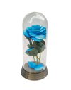 Ver imagem 1 de Linda Redoma com Rosa Vermelha , Inspirada na a Rosa Encantada do Filme a a Bela e a Fera e do o - a