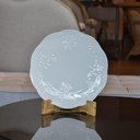 Ver imagem 3 de Jogo 4 Pratos Raso Porcelana New Bone Butterfly 26,5cm Lyor Branco