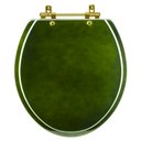 Ver imagem 1 de Assento Sanitário Convencional Oval Universal Verde Degradê com Ferragem Dourada