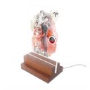 Ver imagem 1 de Abajur e Luminária Decorativa Signo Áries