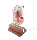 Ver imagem 1 de Abajur e Luminária Decorativa Signo Áries