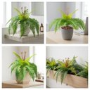 Ver imagem 6 de 9 Folhagens de Samambaia Artificial 40cm Planta Decorativa Permanente em Silicone