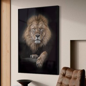 Quadro Decorativo Leão de Luxo em Moldura Caixa Tacolado Moldura Trad 1cm Madeira Escura com Vidro 4