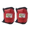 Caneleira 2kg Fitness, Musculação. - Vermelho - 1