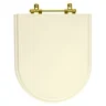 Assento Sanitario Duna Creme Para Vaso Deca Com Ferragem Dourada - 1
