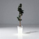 Ver imagem 7 de Vaso Decorativo para Plantas Grande Varanda Jardim Ambientes Internos e Externos com Luminária 55cm