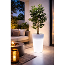 Ver imagem 4 de Vaso de Plantas Decorativo Grande Sala Jardim Ambientes Internos e Externos com Luminária 55cm Led