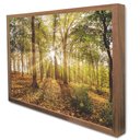 Ver imagem 4 de Quadro Decorativo Floral Floresta na Luz do Sol em Moldura Caixa Tacolado Moldura Trad 1cm Branca Se