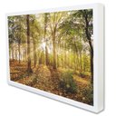 Ver imagem 2 de Quadro Decorativo Floral Floresta na Luz do Sol em Moldura Caixa Tacolado Moldura Trad 1cm Branca Se